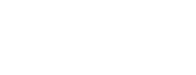 The Acme Corp